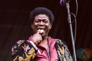 Charles Bradley performing at Boston Calling 2016 at Boston City Hall Plaza in Boston on May 29th. (Photo: Saidy Lopez/Aesthetic Magazine)